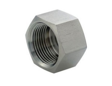 Tapon Hembra Fig. 300 1/4" Inox