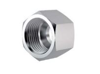 Tuerca Inox 20S